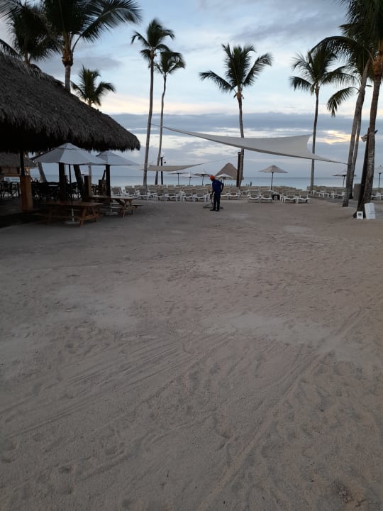 Strand Dreams Dominicus La Romana