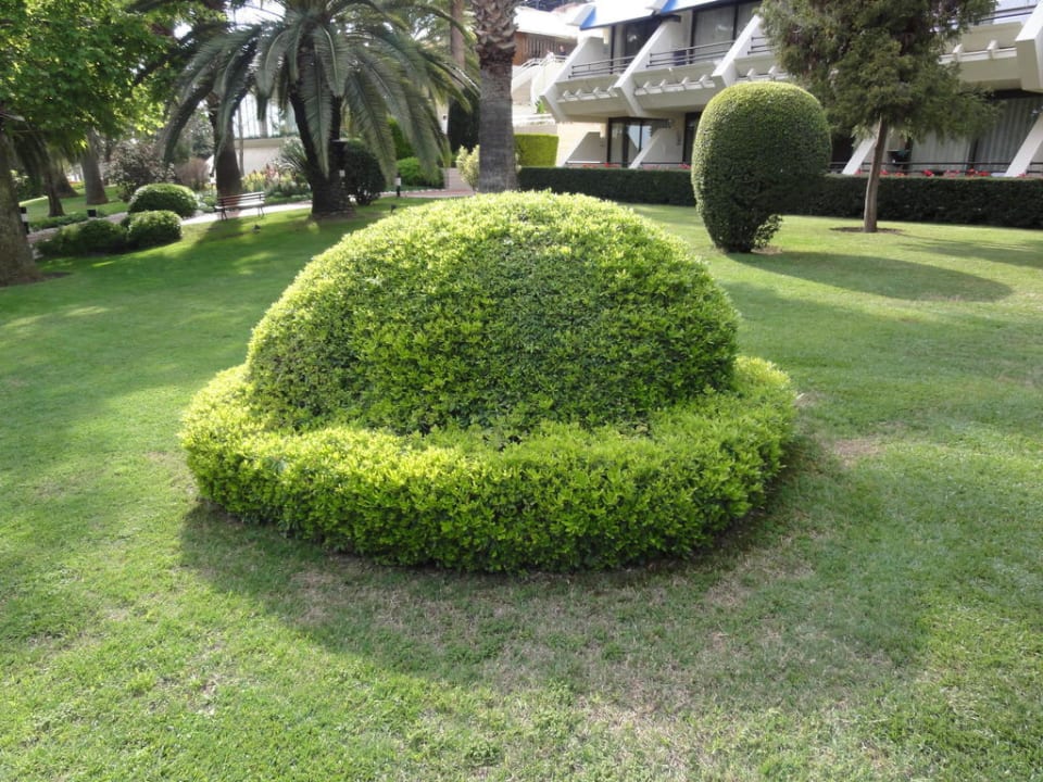 Grünanlage Side Star Elegance