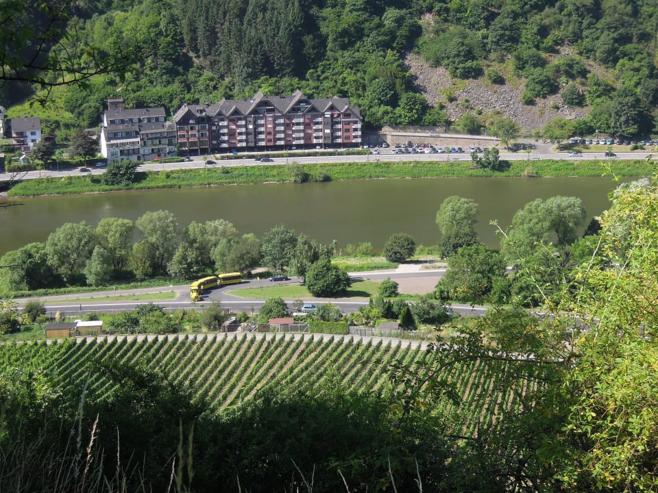 Blick auf die Mosel Hotel Hegenbarth´s