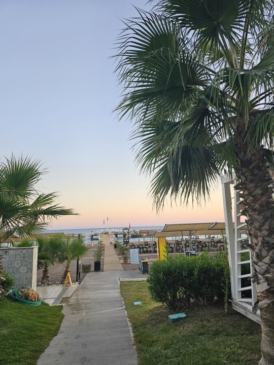 Strand Sherwood Exclusive Lara