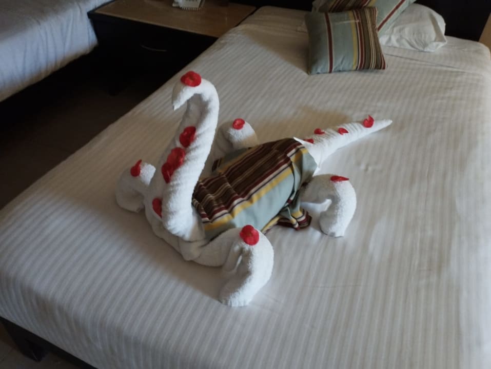 Zimmer El Karma Aqua Beach Resort