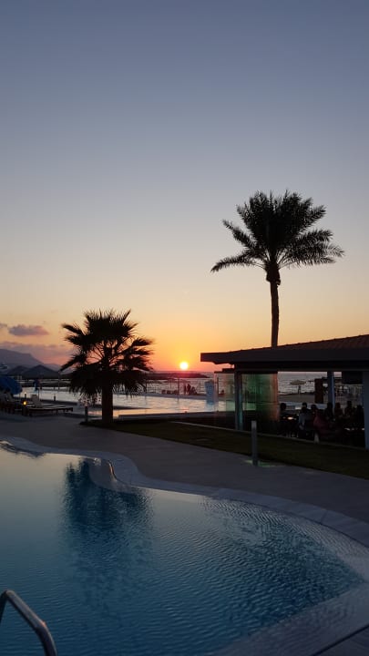 Gartenanlage allsun Hotel Carolina Mare