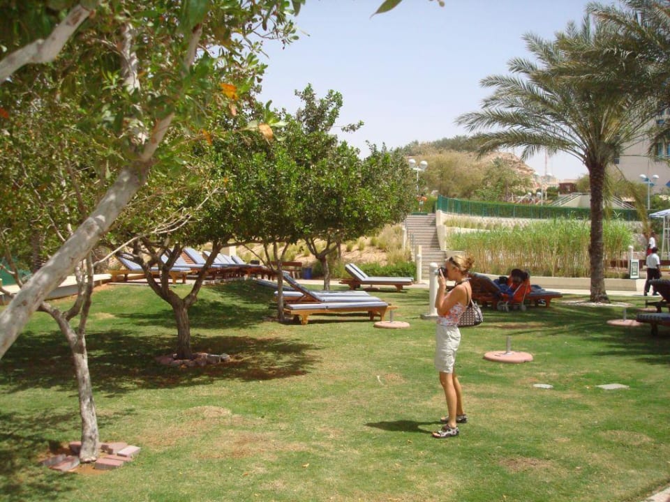 Hotel Mercure Grand Jebel Hafeet Mercure Hotel Grand Jebel Hafeet