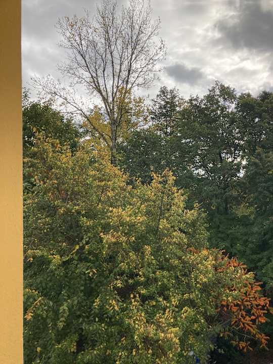 Ausblick Best Western Hotel Windorf