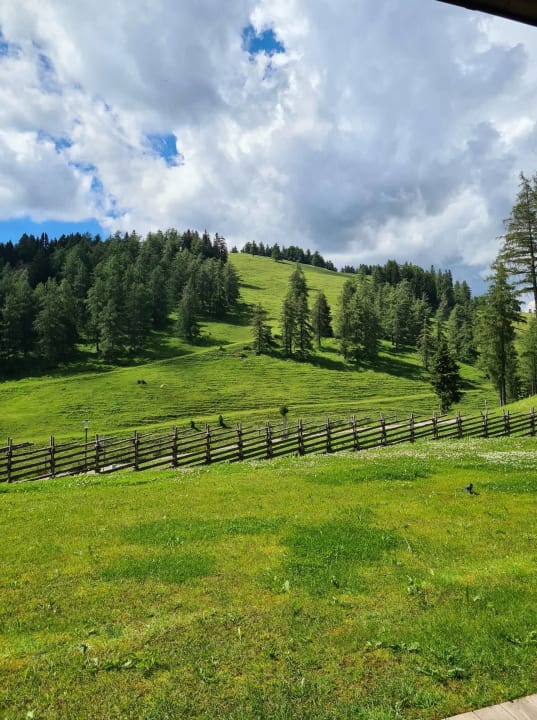 Ausblick Almwellness Hotel Pierer