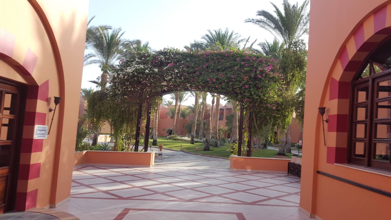 Zurück zum Osasis Jaz Makadi Oasis Resort