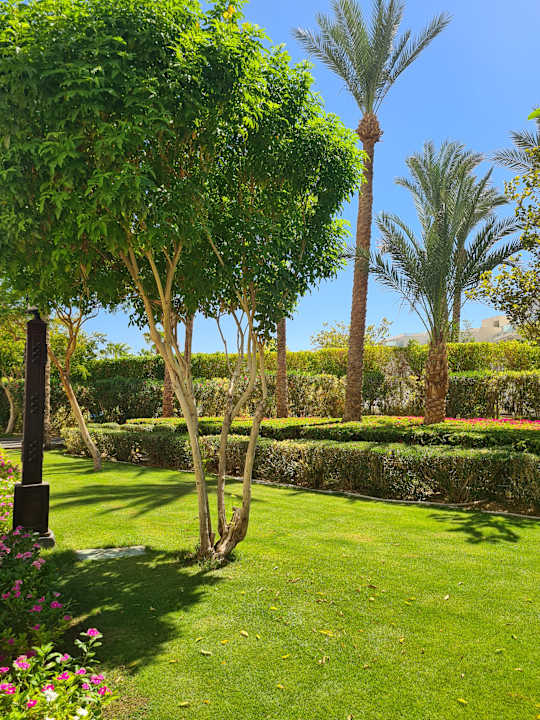 Gartenanlage Steigenberger Aqua Magic