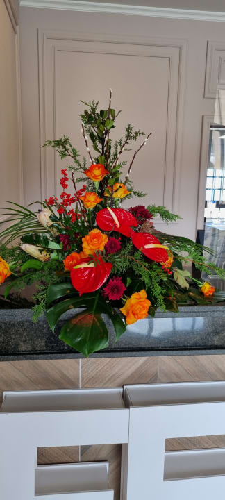 Sonstiges AluaSoul Orotava Valley