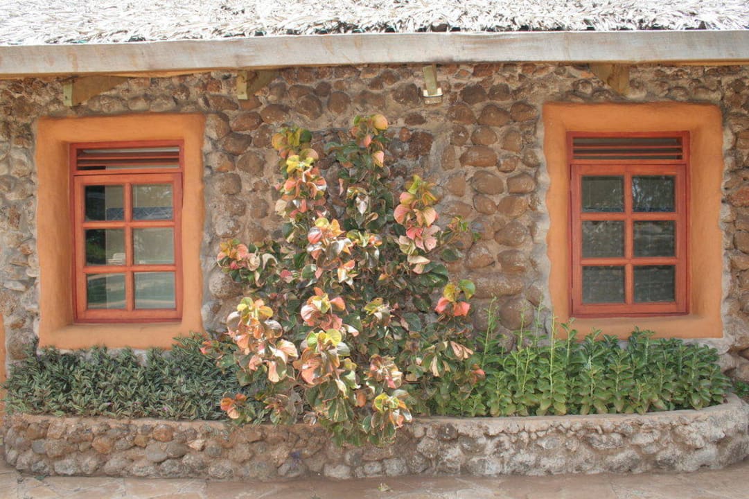 Recepcja Hotel Amboseli Sopa Lodge