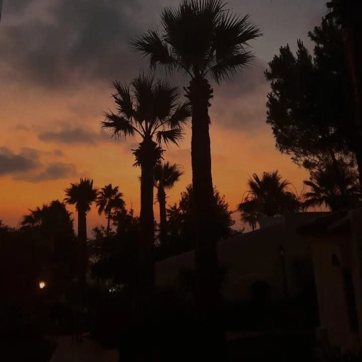 Gartenanlage Acapulco Beach Club & Resort