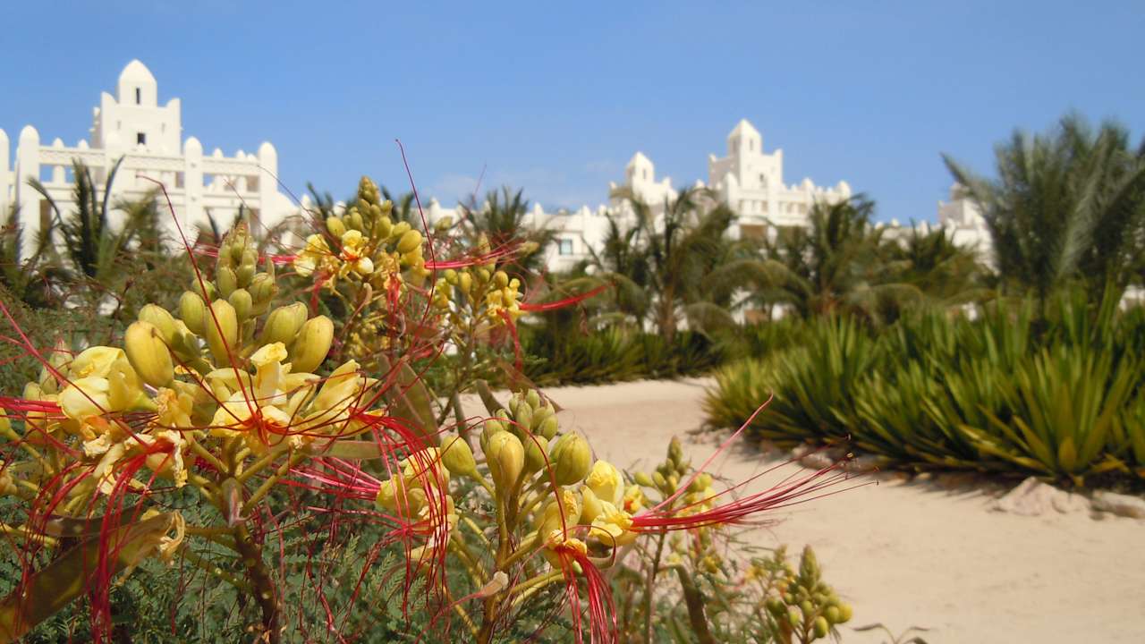 ClubHotel Riu Karamboa Hotel Riu Karamboa