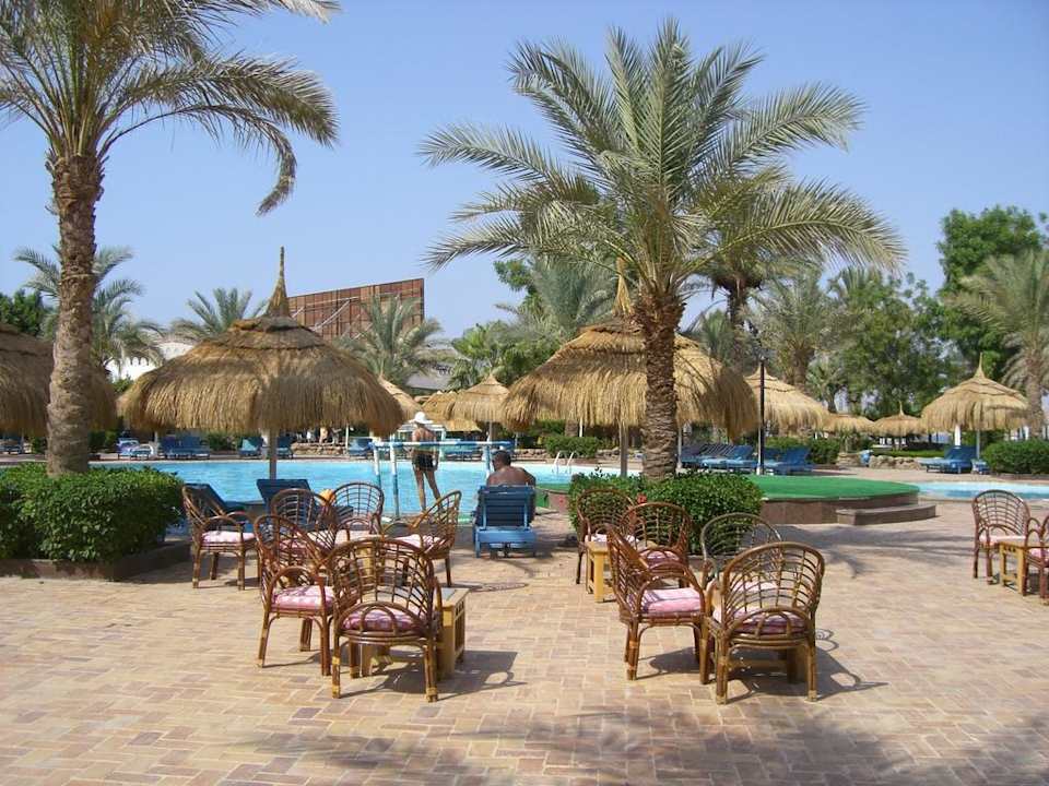 Poolanlage Albatros Sharm Resort