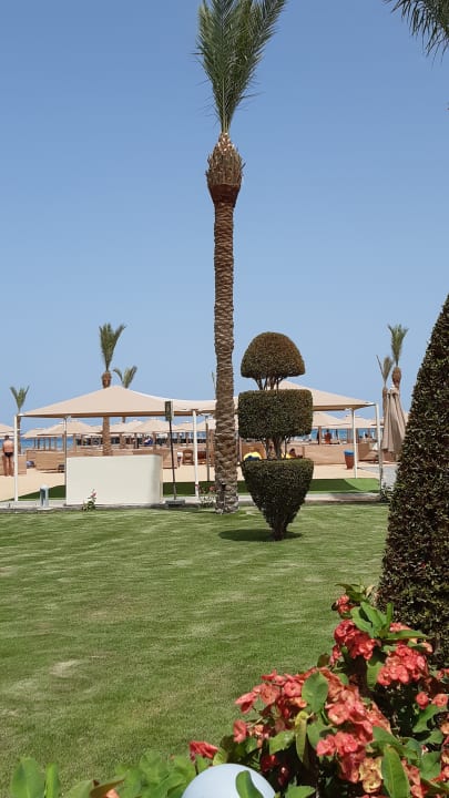 Gartenanlage Pickalbatros Palace Resort