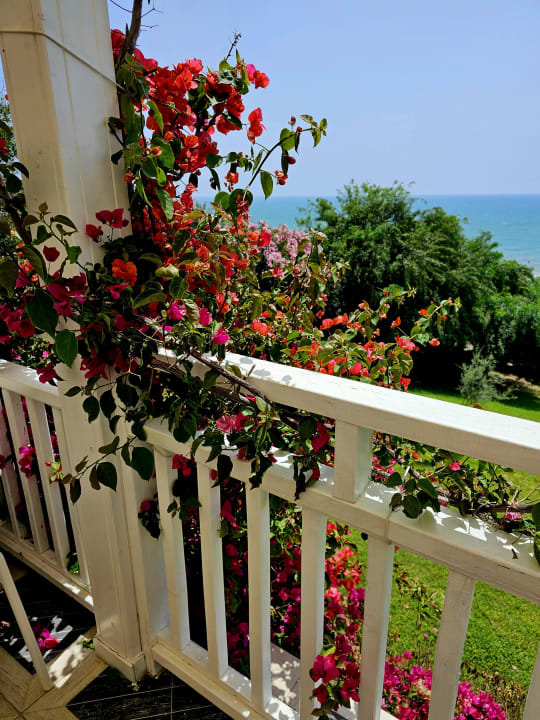 Ausblick Can Garden Resort