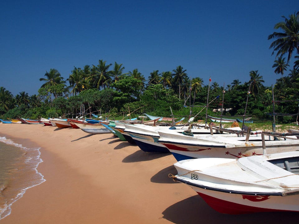 Balapitiya beach Ferienhaus Geckovilla