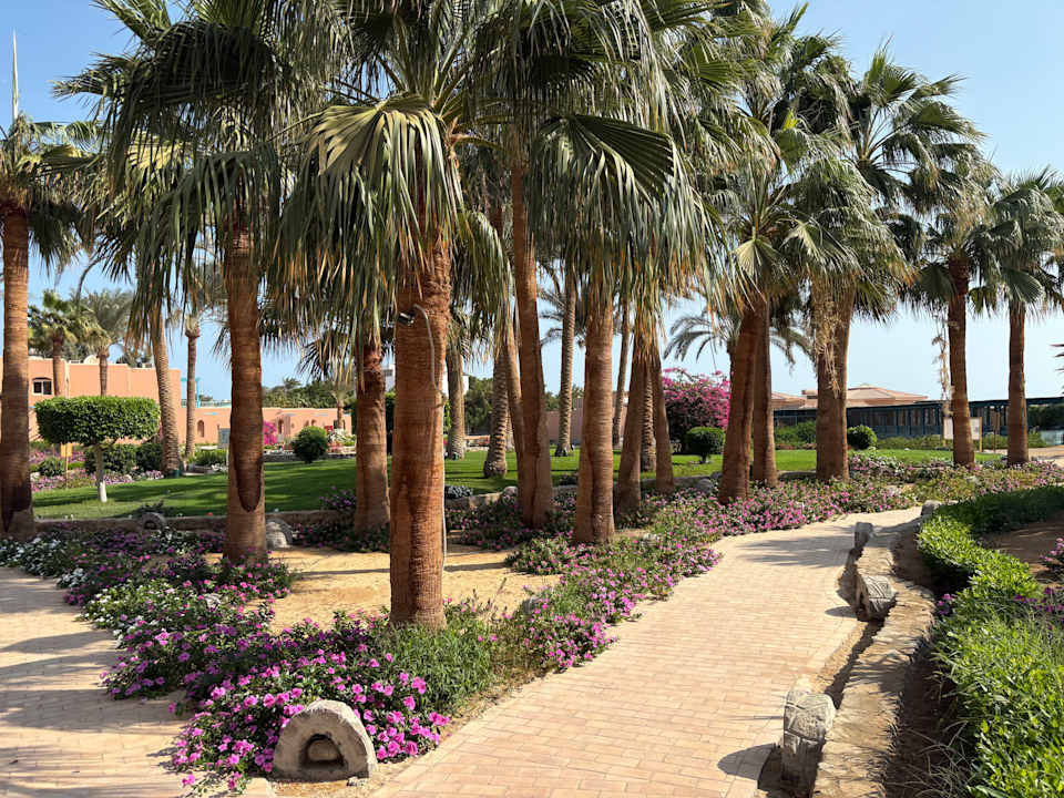 Gartenanlage Club Paradisio El Gouna, Red Sea