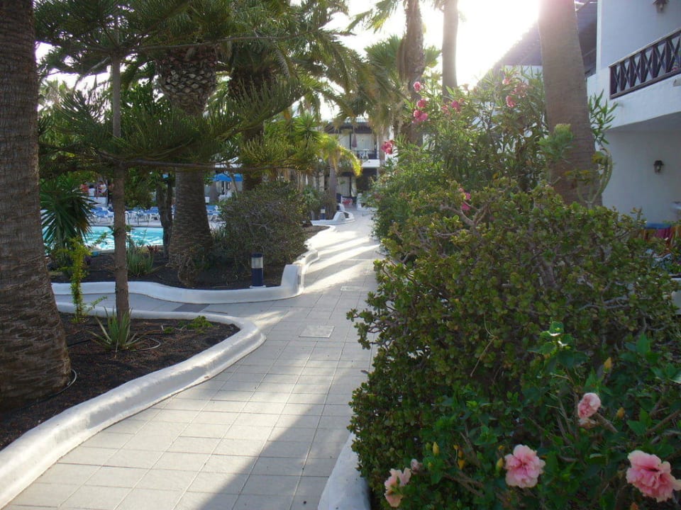 Innenbereich Bungalows & Appartements Playamar