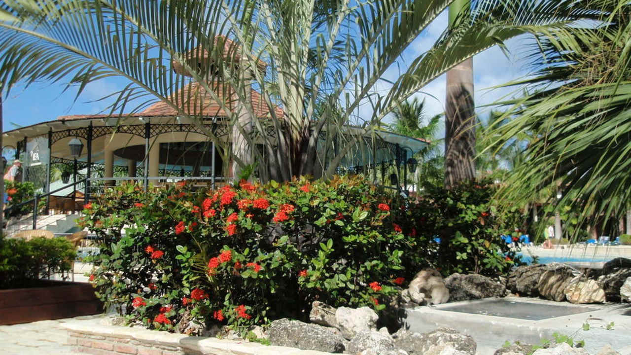 Bar im Hintergrund Villas Bavaro Resort & Spa