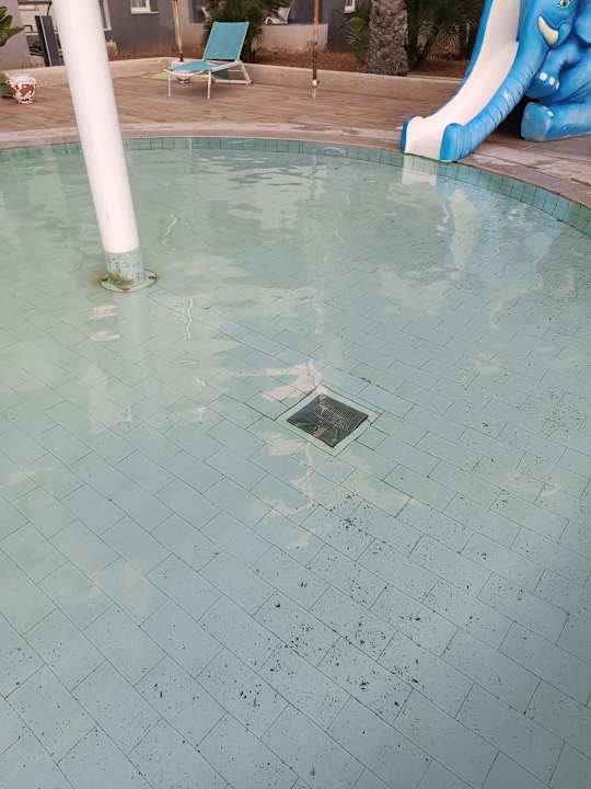 Pool Hotel Rosa Beach