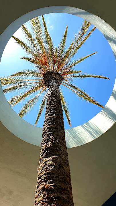 Gartenanlage R2 Pajara Beach