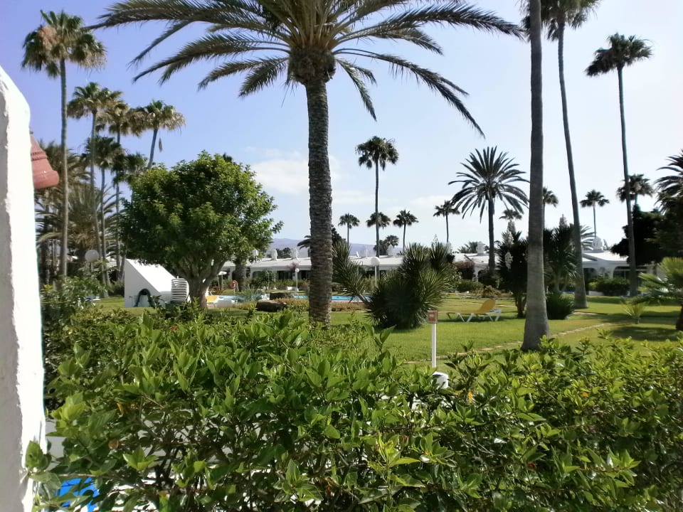 Gartenanlage Sahara Beach Club