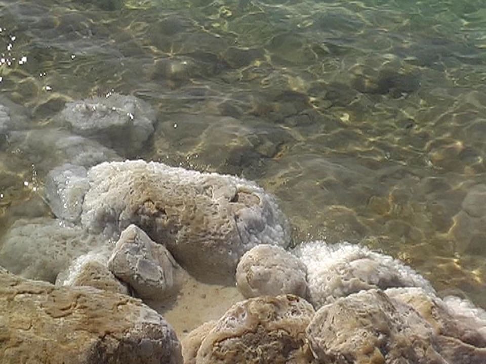 Plaża przy hotelu Royal Hotel Dead Sea