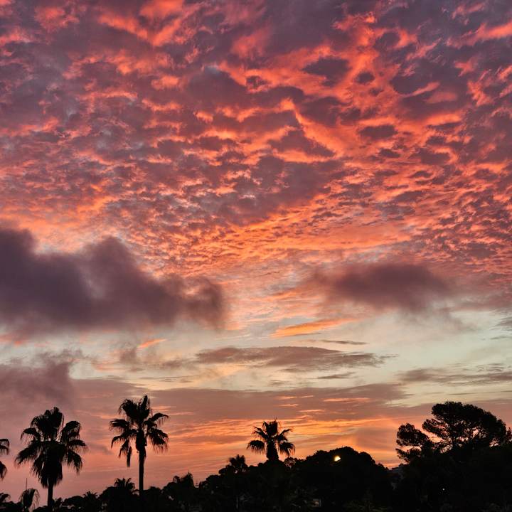 Ausblick Hotel Rocamarina - Adults Only