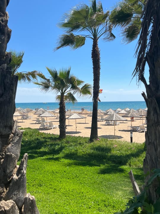 Gartenanlage Hotel Defne Garden