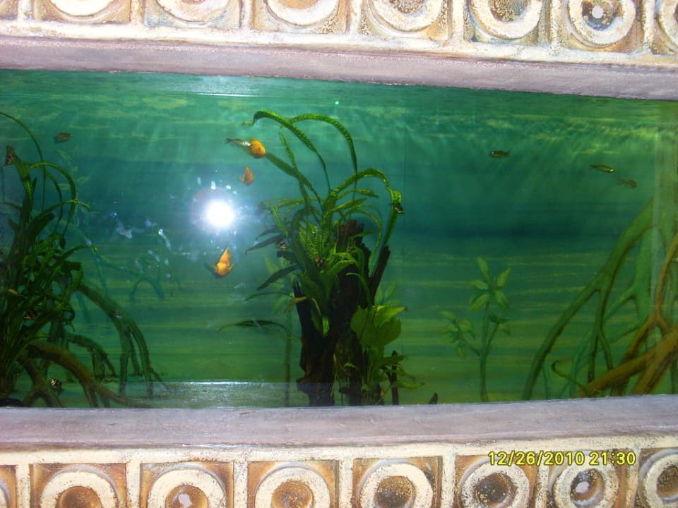 Dschungelland Ferienwohnungen Ferienpark Weissenhäuser Strand