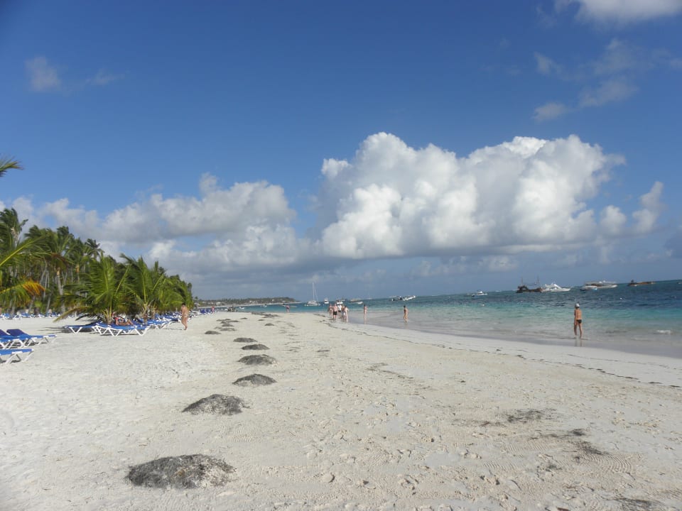 Seegras wurde täglich entfernt Villas Bavaro Resort & Spa