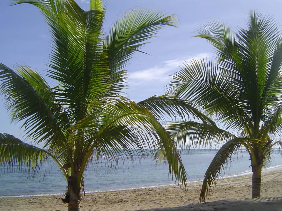 Wunderschöner Sandstrand Grand Paradise Playa Dorada