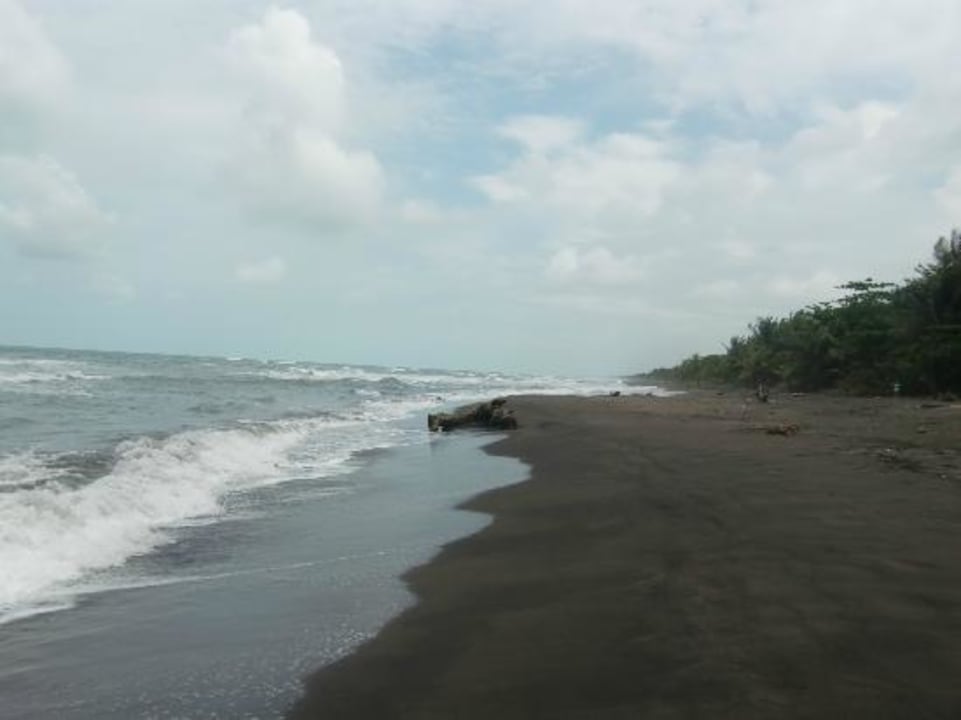 Srand am Hotel Hotel Miss Junie's