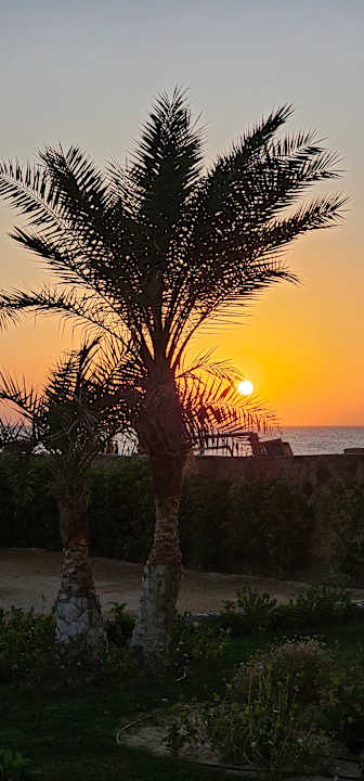 Gartenanlage Coral Sun Beach