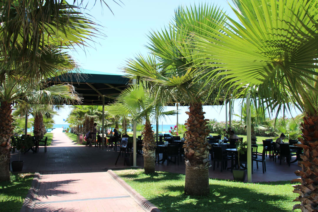 Strandbar 10-18 Uhr Xanadu Resort Hotel