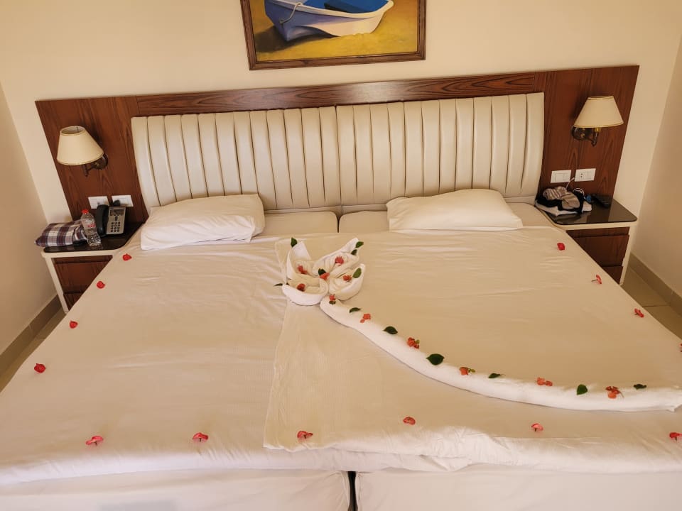 Zimmer Pickalbatros Citadel Resort