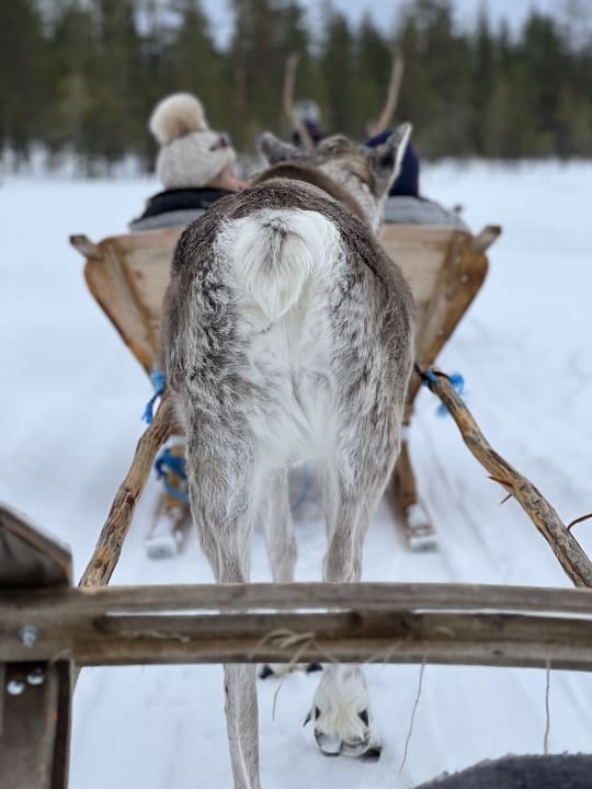 Sport & Freizeit Hotel Iso Syöte