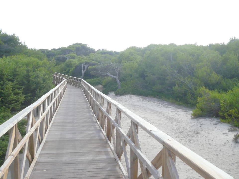 Holzsteg durch die Dünen Valentin Playa de Muro