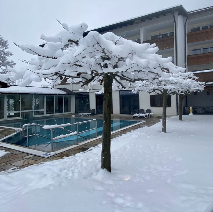 Pool Alm- & Wellnesshotel Alpenhof