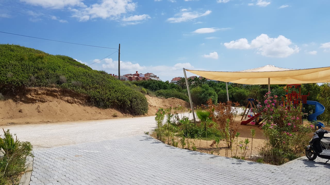 Strand Seashell Vega