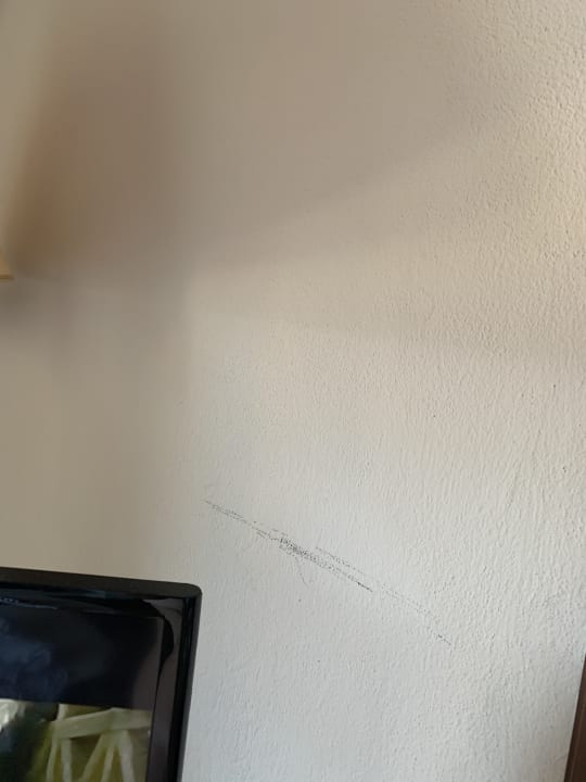 Zimmer Pickalbatros Citadel Resort