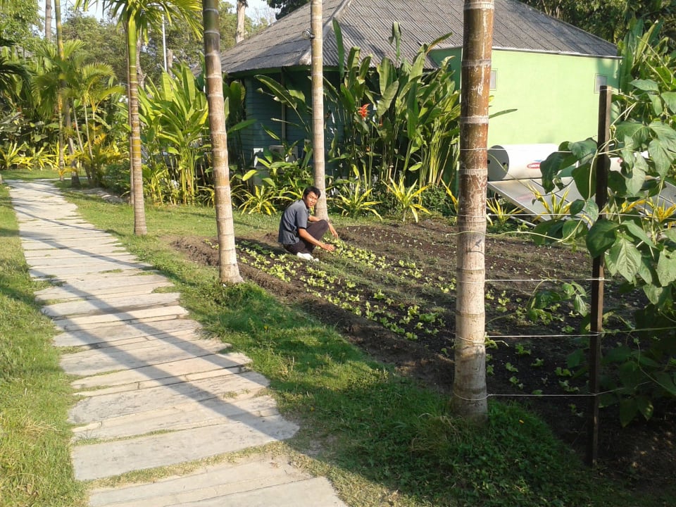 Weg zu den Zimmern Sai Kaew Beach Resort