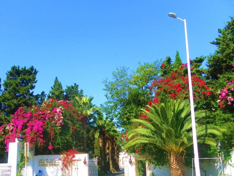 Vor Hoteleinfahrt The Orangers Beach Resort and Bungalows