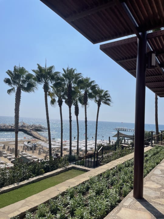Ausblick Arum Barut Collection