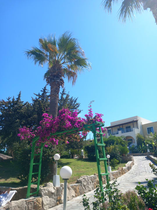 Außenansicht Hotel Kouros Palace