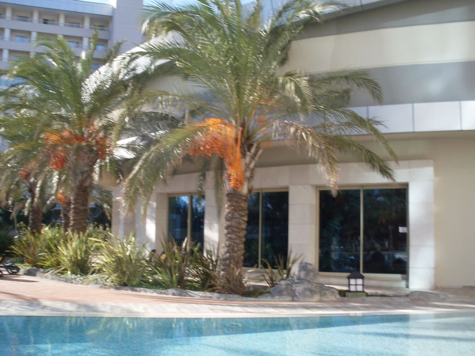 Hallenbad von Außen Royal Wings Hotel