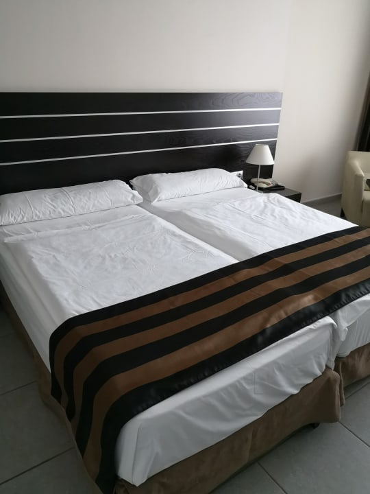 Zimmer allsun App.-Hotel Esquinzo Beach