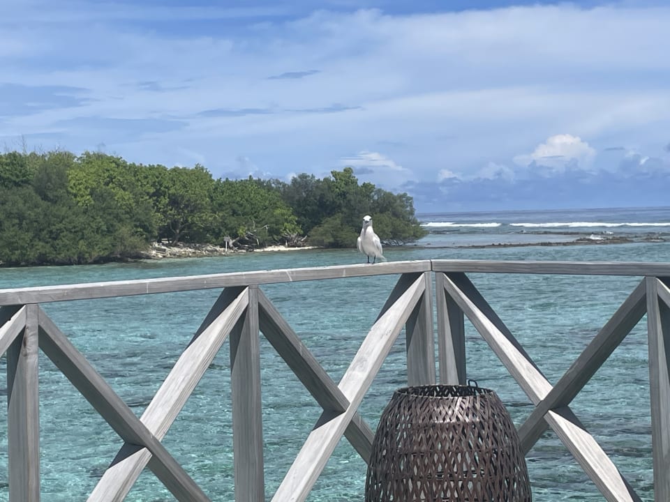 Ausblick Cinnamon Dhonveli Maldives
