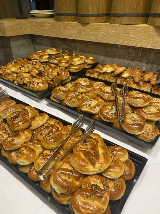 Gastro Seashell Vega