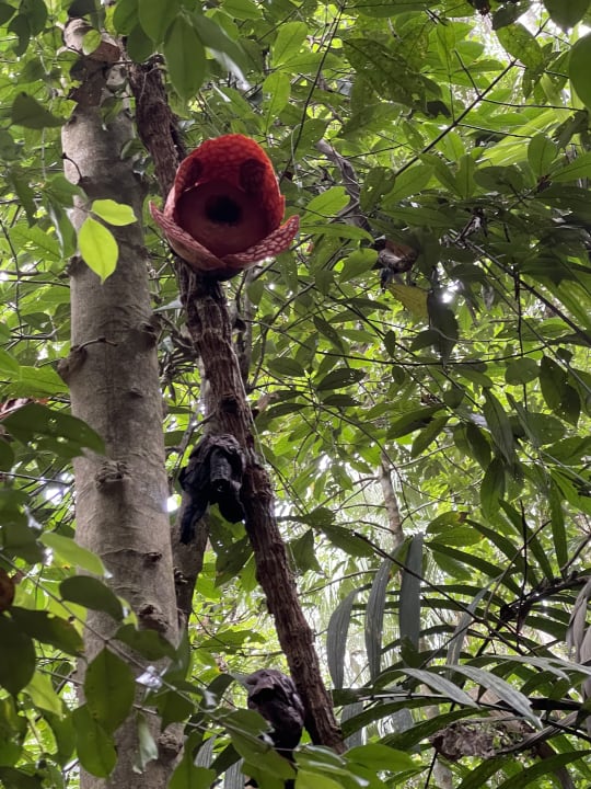 Sonstiges Berjaya Tioman Resort