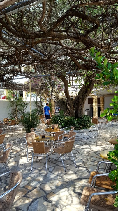 Gartenanlage Elea Beach Hotel